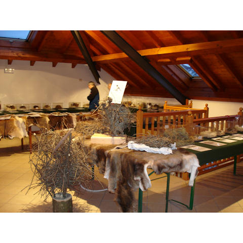19 aprile 2005 - Mostra itinerante dei nidi e delle tracce di proprietà della Riserva di caccia di Forno di Zoldo, organizzata a Santa Giustina a cura dell'A.C.B.