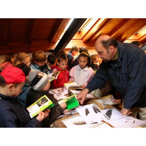 19 aprile 2005 - Mostra itinerante dei nidi e delle tracce di proprietà della Riserva di caccia di Forno di Zoldo, organizzata a Santa Giustina a cura dell'A.C.B.