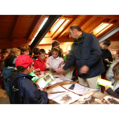 19 aprile 2005 - Mostra itinerante dei nidi e delle tracce di proprietà della Riserva di caccia di Forno di Zoldo, organizzata a Santa Giustina a cura dell'A.C.B.