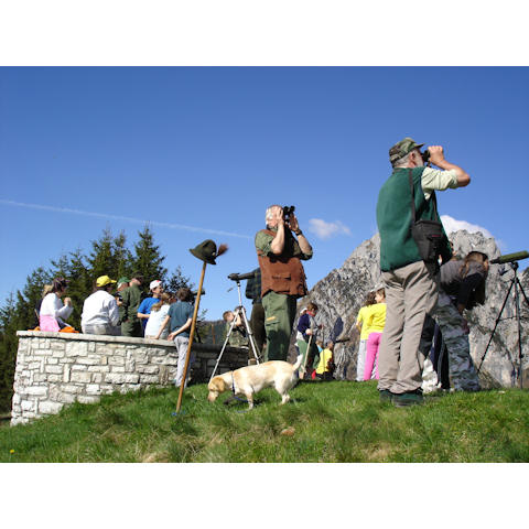 7 maggio 2005 - Uscita con la scuola di San Gregorio