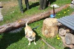 7 maggio 2005 - Uscita con la scuola di San Gregorio