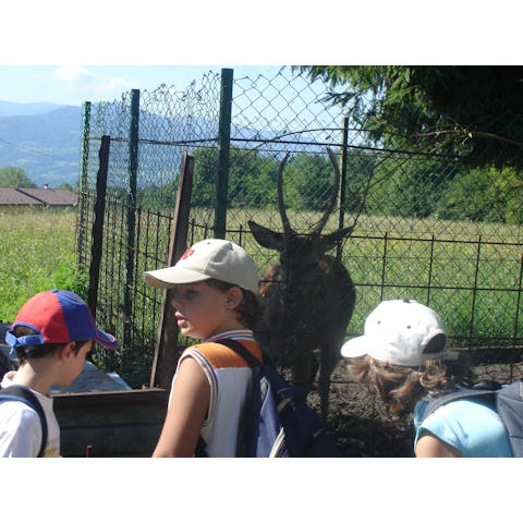 7 agosto 2008 - Uscita con studenti di Meano