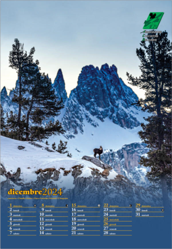 Dicembre - Claudio Ghizzo, camoscio