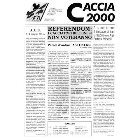 Caccia 2000 - Giugno 1990