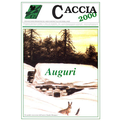 Caccia 2000 - Dicembre 1995