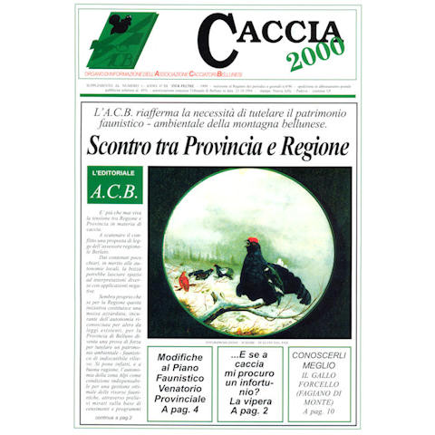 Caccia 2000 - Marzo 1999