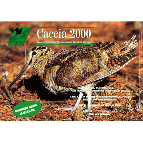 Caccia 2000 - Giugno 2003