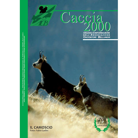 Caccia 2000 - Dicembre 2008