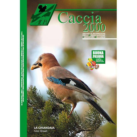 Caccia 2000 - Marzo 2009