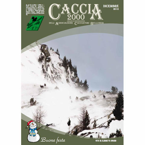 Caccia 2000 - Dicembre 2012