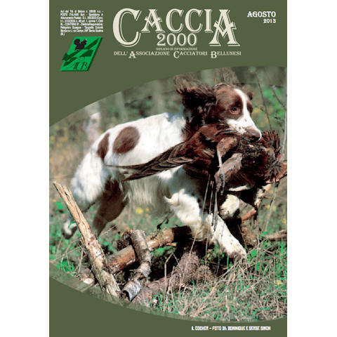 Caccia 2000 - Agosto 2013