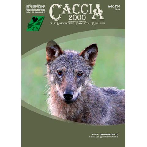 Caccia 2000 - Agosto 2014