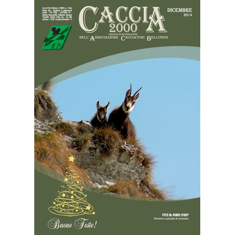 Caccia 2000 - Dicembre 2014