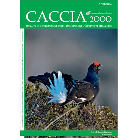 Caccia 2000 - Aprile 2016