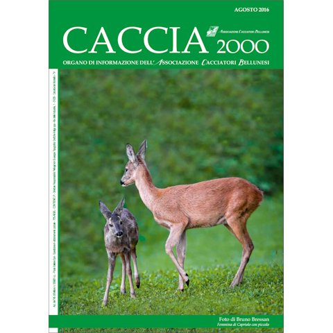 Caccia 2000 - Agosto 2016