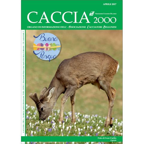 Caccia 2000 - Aprile 2017