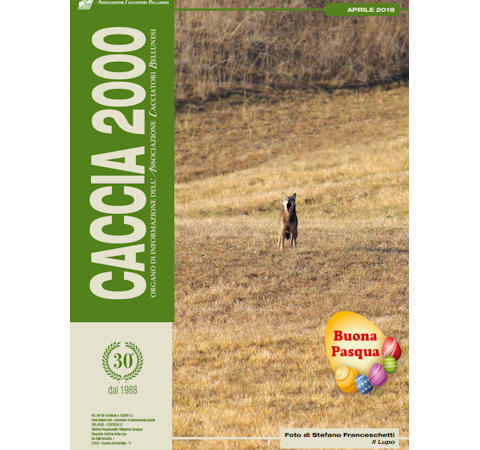 Caccia 2000 - Aprile 2019