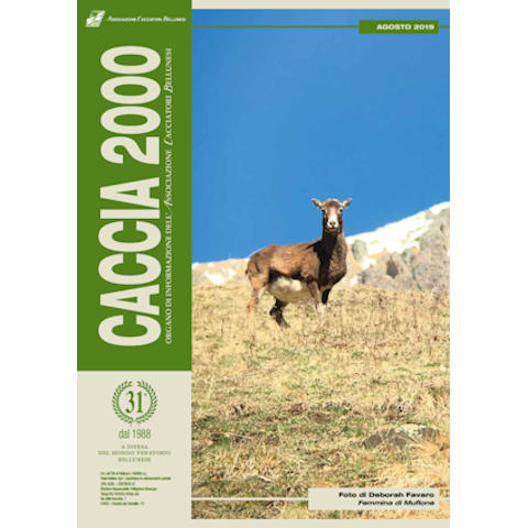 Caccia 2000 - Agosto 2019