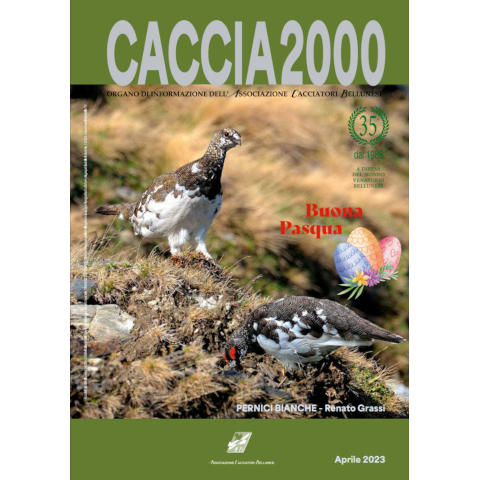 Caccia 2000 - Aprile 2023