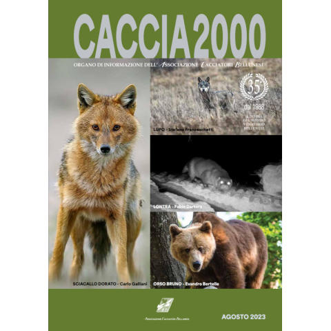 Caccia 2000 - Agosto 2023