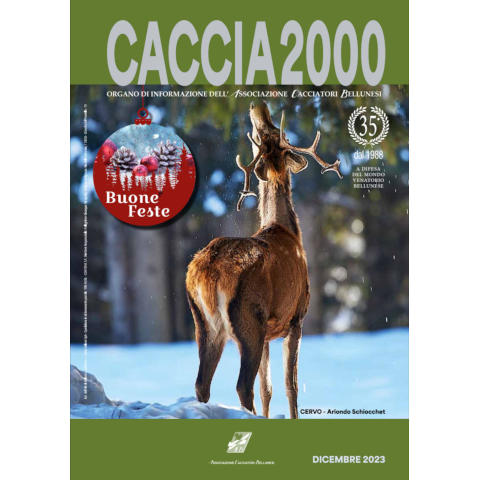 Caccia 2000 - Dicembre 2023