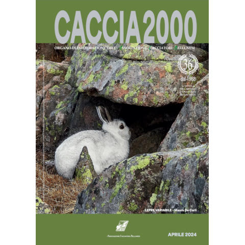 Caccia 2000 - Aprile 2024