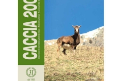 Caccia 2000 - Agosto 2019