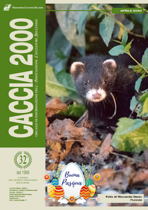 Caccia 2000 aprile 2020
