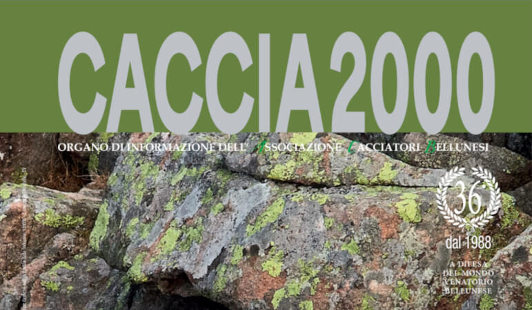 Caccia 2000 aprile 2024